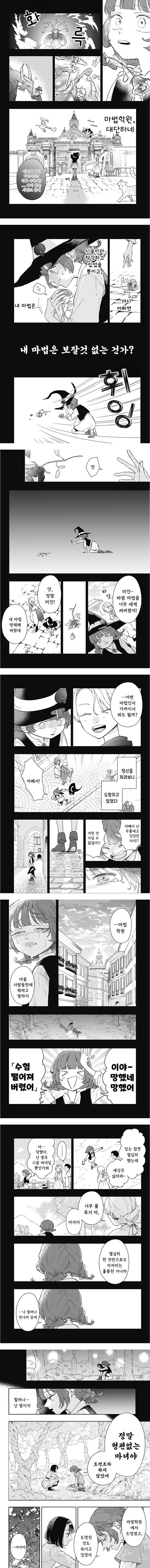 마법학원과 대단한 마녀 manhwa_6.jpg