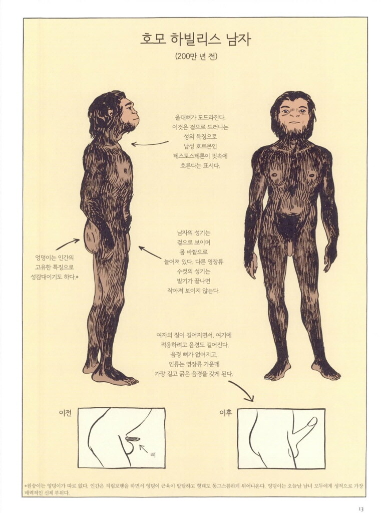 만화로 보는 SEX(성)의 역사_6.jpg