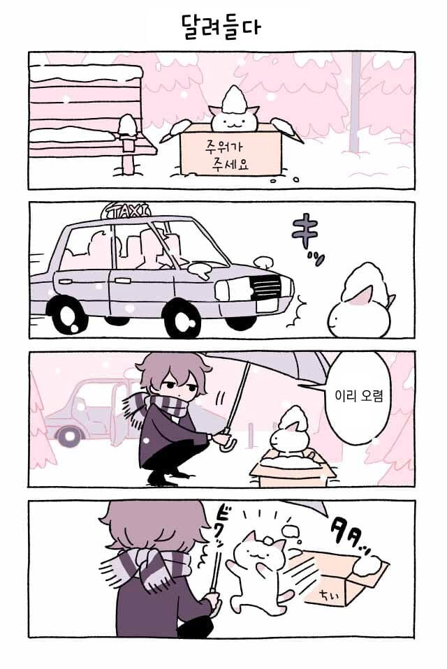 고양이 키우는.manhwa_2.png