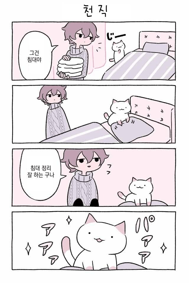 고양이 키우는.manhwa_12.png