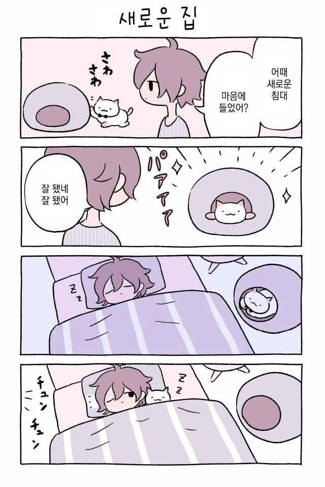 고양이 키우는.manhwa_25.png