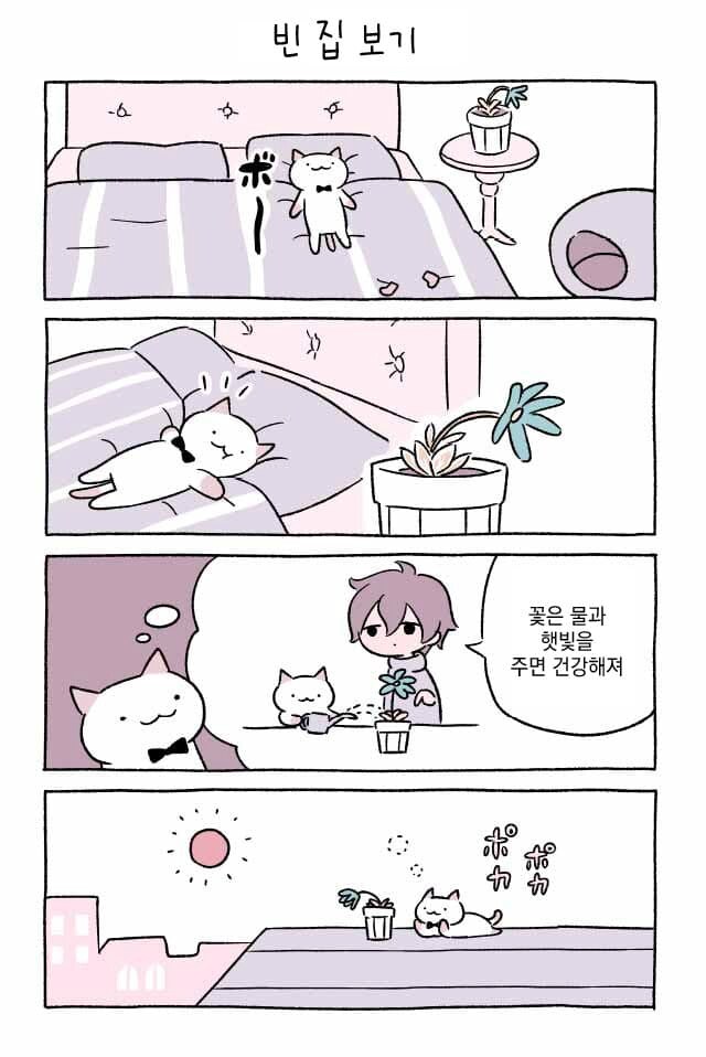 고양이 키우는.manhwa_28.png