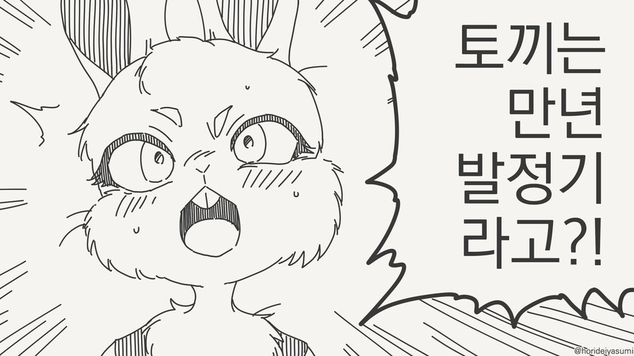 토끼가 상시발정기인걸 몰랐던 만화_1.jpg