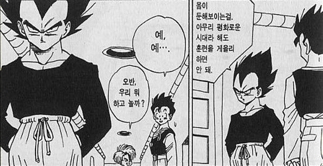 [드래곤볼]수련을 게을리 하지 않는 베지터_2.jpg
