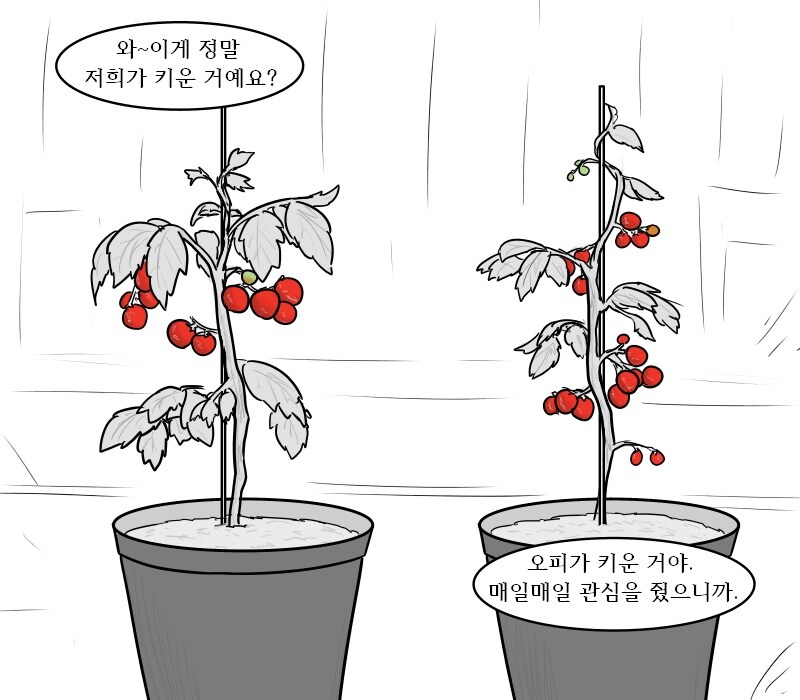 젠존제)시드와 오피가 토마토 기르는 만화_5.jpg