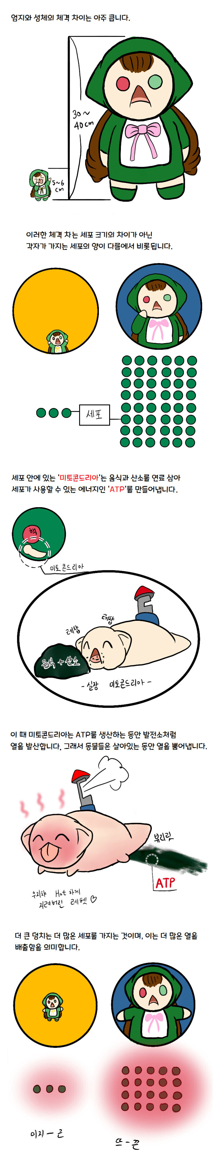 과학적인 참피만화_1.jpg