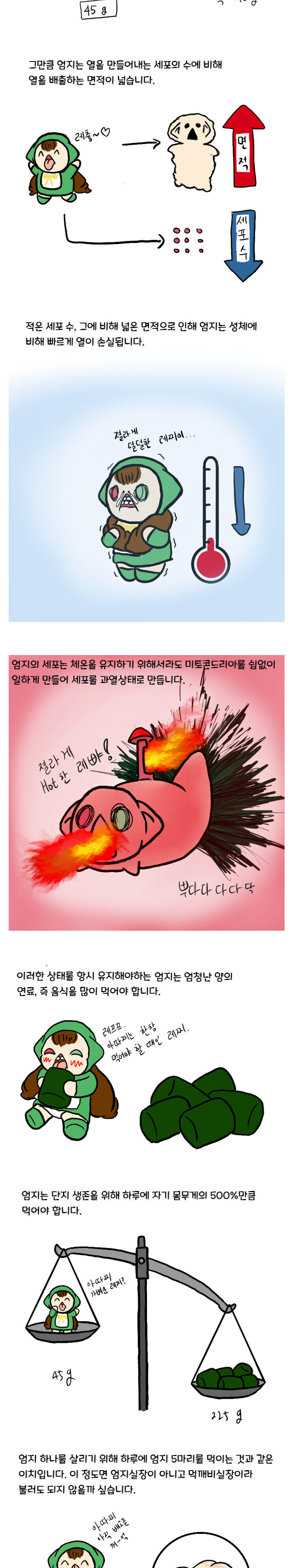 과학적인 참피만화_3.jpg