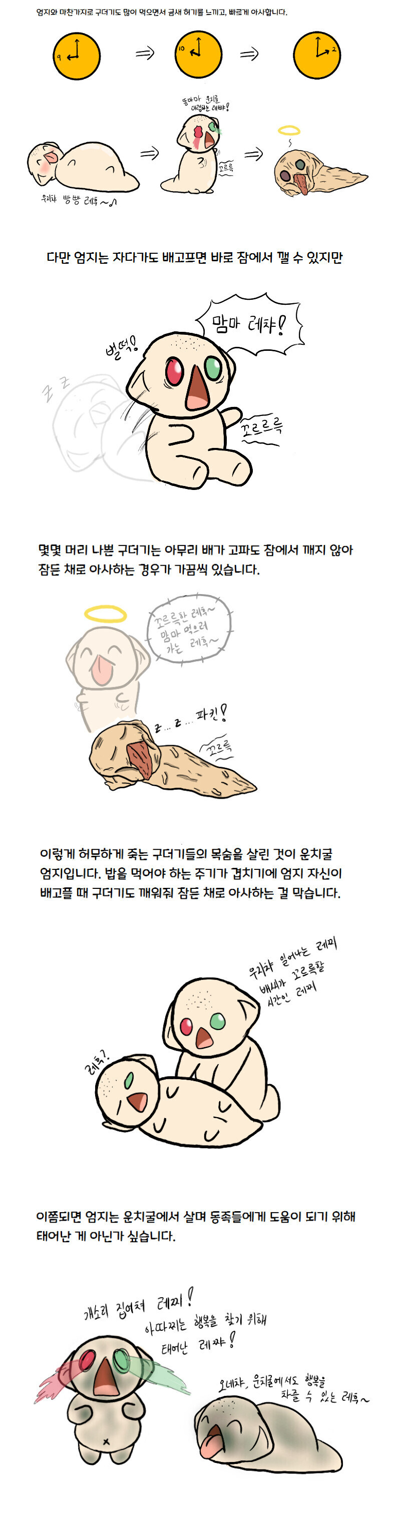 과학적인 참피만화_8.jpg