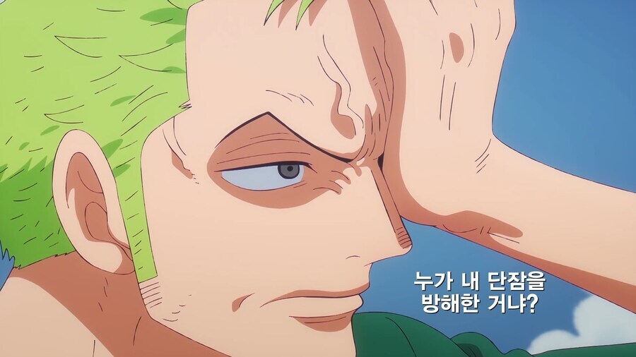 원피스]내 단잠을 방해하는 녀석은 누구냐!_3.jpg