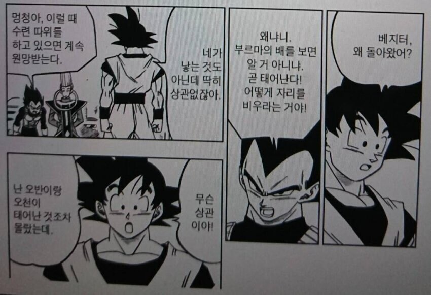 드래곤볼) 쓰레기 가정밈이 웃긴 이유_3.jpg
