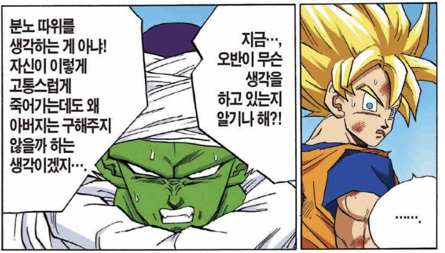 드래곤볼) 셀편에서 오반을 가장 잘 이해한 자_2.jpg