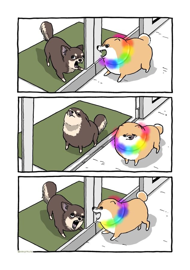 치와와 vs 시바.manga_1.jpg