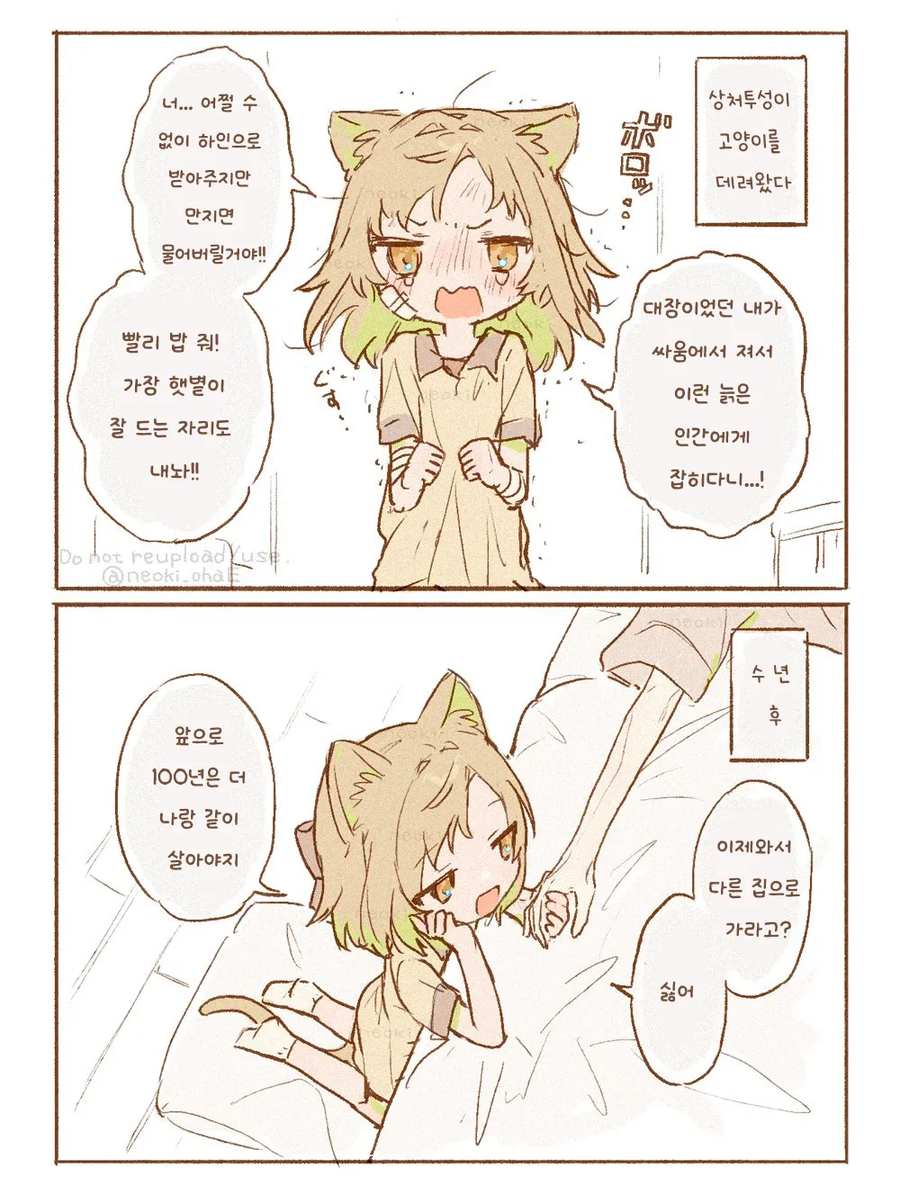 따뜻한 곳에 있는 고양이 만화_1.webp