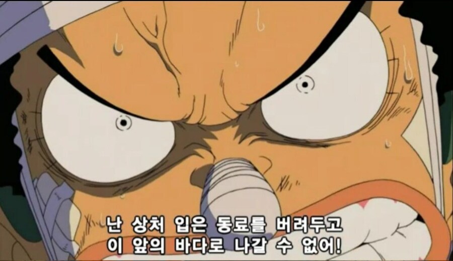 원피스) 밀.집모자 해적단이 제일 입체적으로 그려진 에피소드_2.jpg