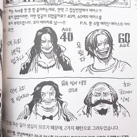 원피스)밀집모자 일당+에이스 사보 미래의 모습_10.jpg