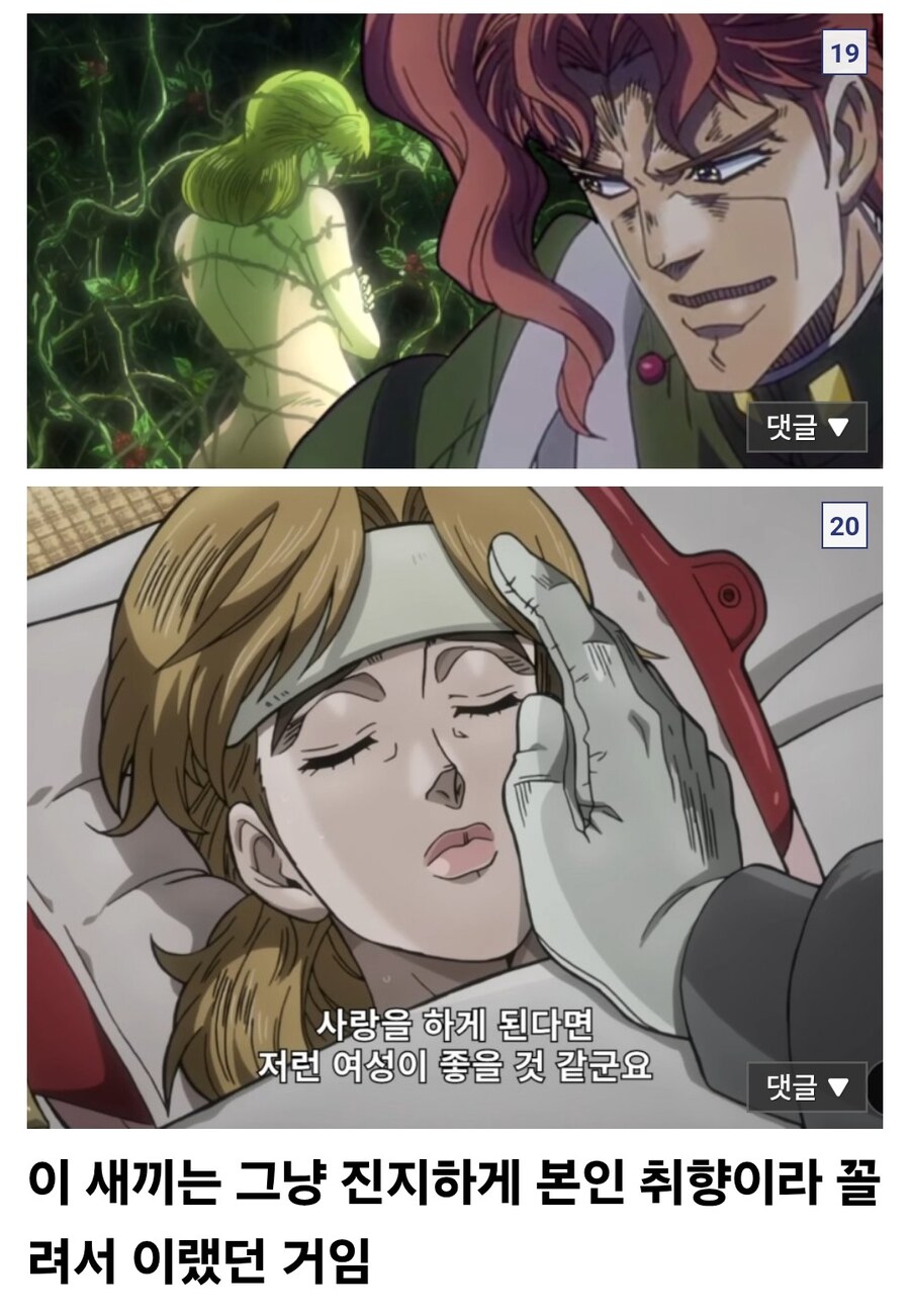 죠죠)카쿄인 보고 얼탱이 터진 디시인_12.jpg