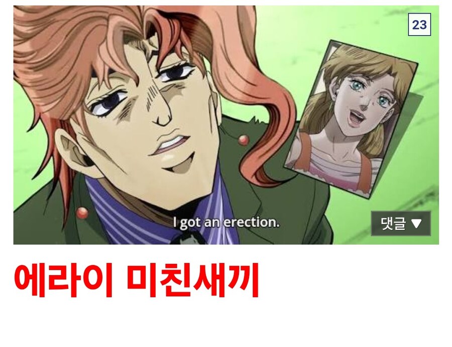 죠죠)카쿄인 보고 얼탱이 터진 디시인_13.jpg