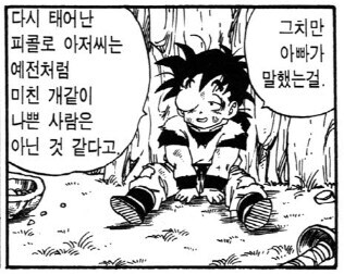 그시절 드래곤볼 번역_1.jpg