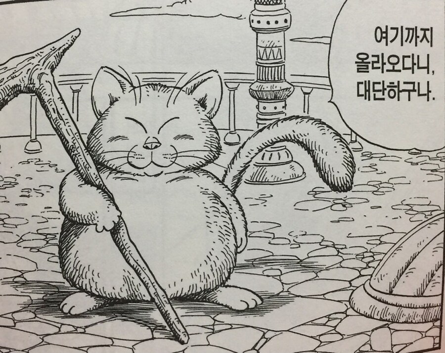 (드래곤볼) 말하는게 띠꺼운 카린님 ㅋㅋㅋ_1.jpg