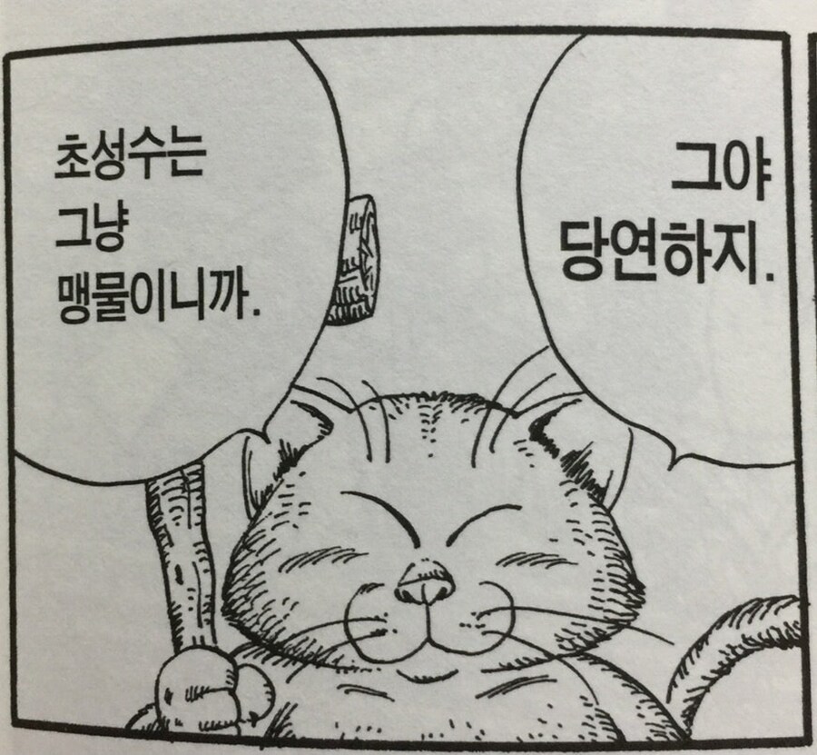 (드래곤볼) 말하는게 띠꺼운 카린님 ㅋㅋㅋ_7.jpg