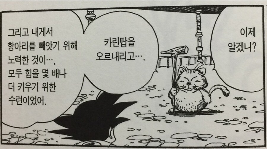 (드래곤볼) 말하는게 띠꺼운 카린님 ㅋㅋㅋ_8.jpg