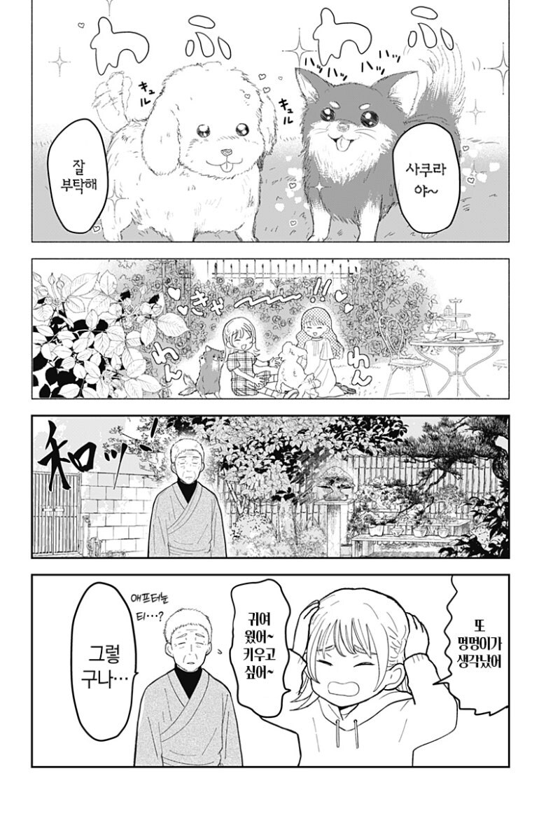 사쿠라의 정원 만화 .manhwa_8.jpg