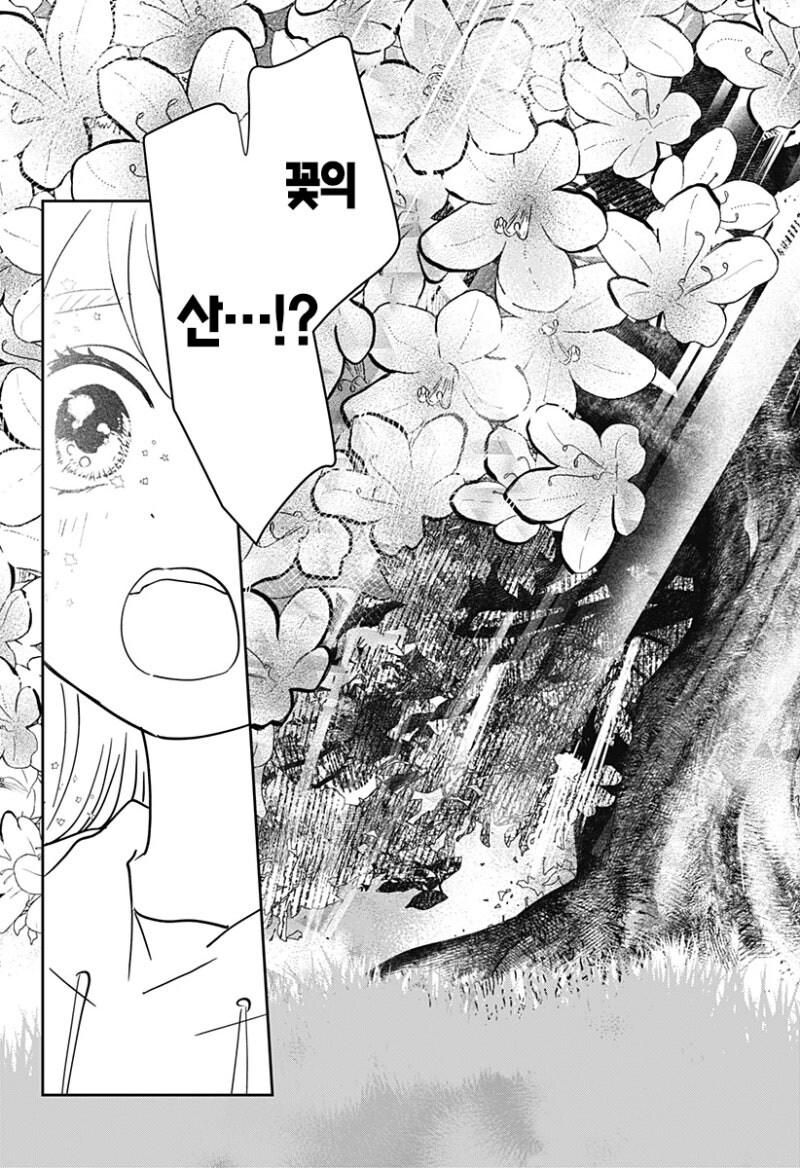 사쿠라의 정원 만화 .manhwa_23.jpg