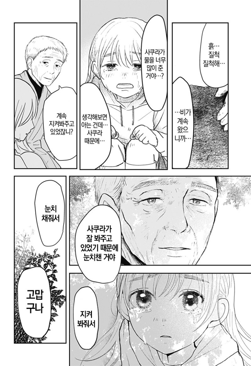 사쿠라의 정원 만화 .manhwa_35.jpg