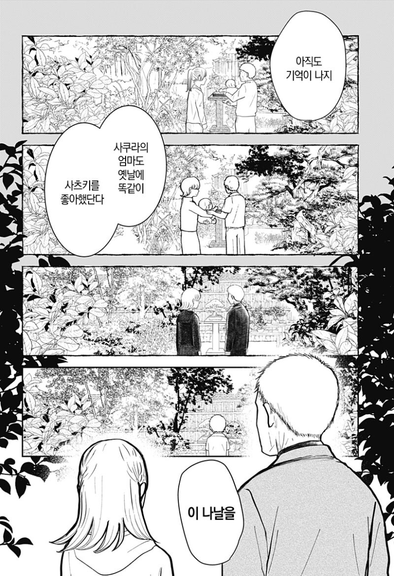 사쿠라의 정원 만화 .manhwa_43.jpg