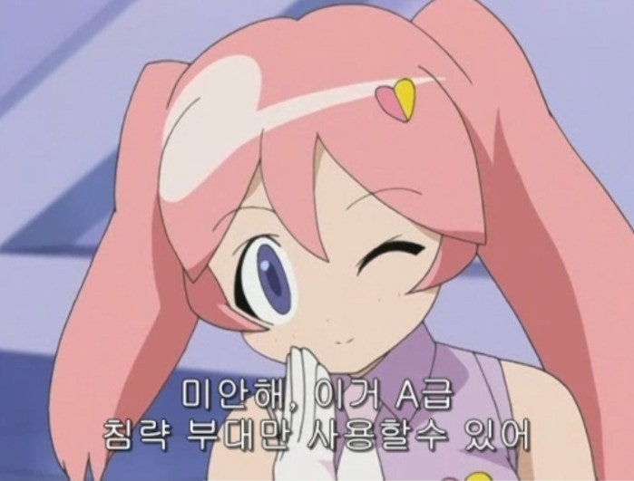 타마마와 코라라의 싸움!Feat. 카라라의 방문 : 네이버 블로그