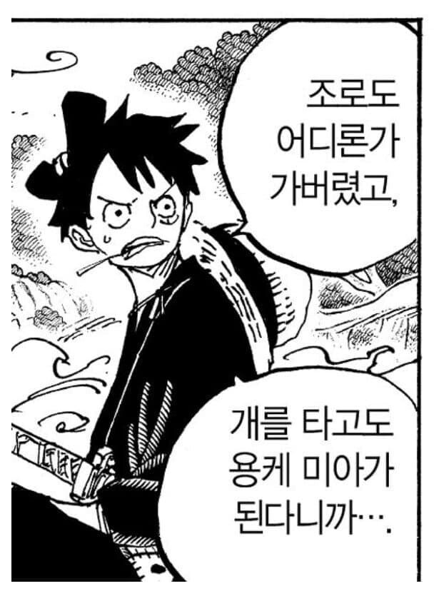 원피스) 루피가 자신과 동급으로 인정한 부선장_8.jpg