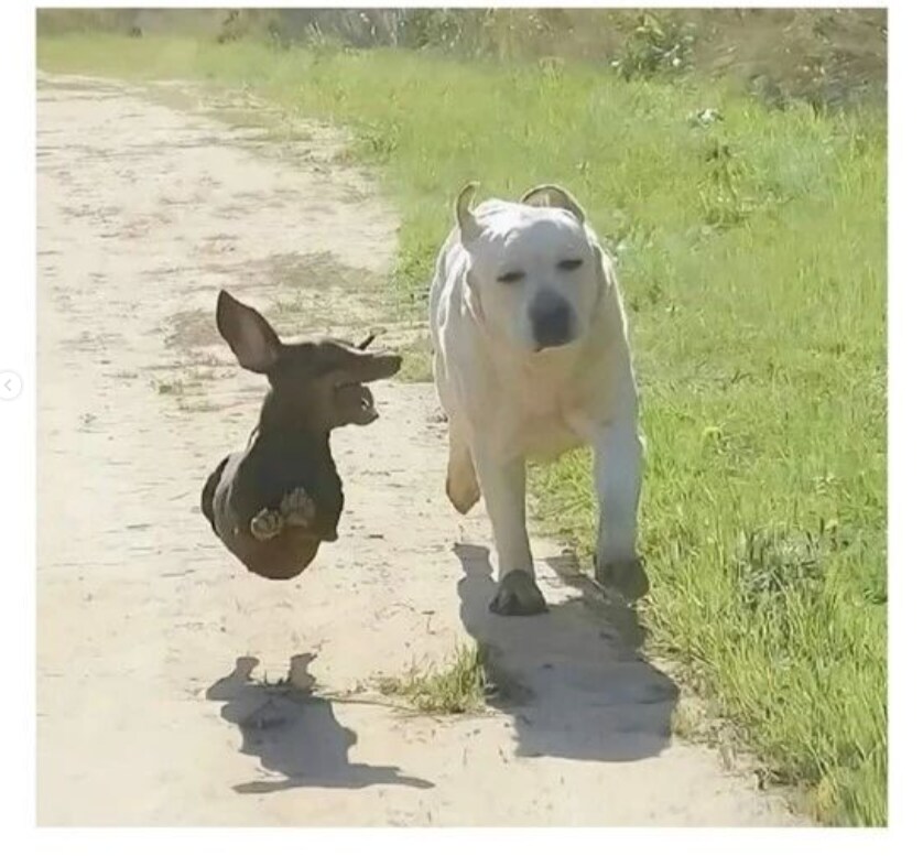 만화에서 나오면 무조건 재밌는 조합_1.png