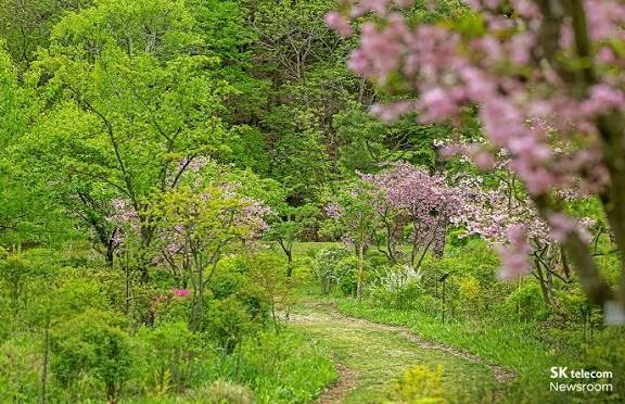 납치가 증가한건 일본 애니 만화 때문임_1.jpg