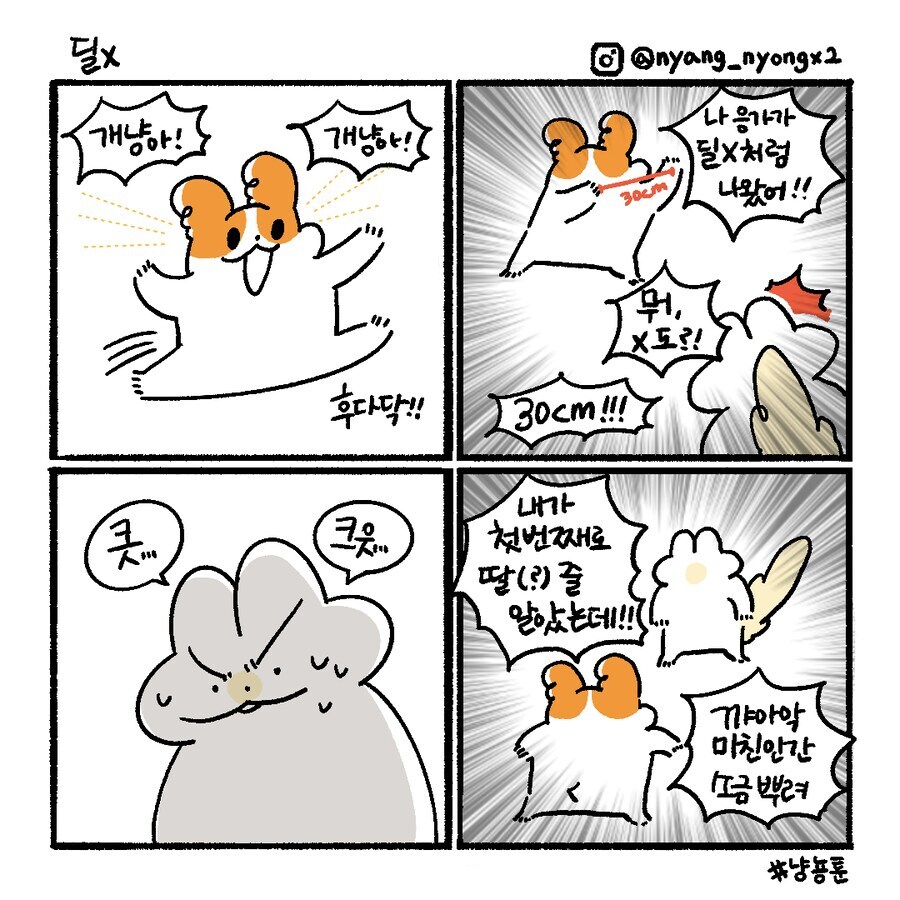 남편의 첫 상대가 자신이 아님을 안 마누라. manhwa_1.jpg