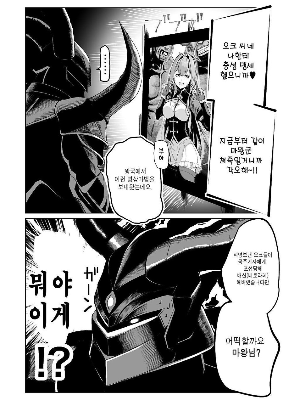 NTR 비디오 보내는 만화_2.jpg