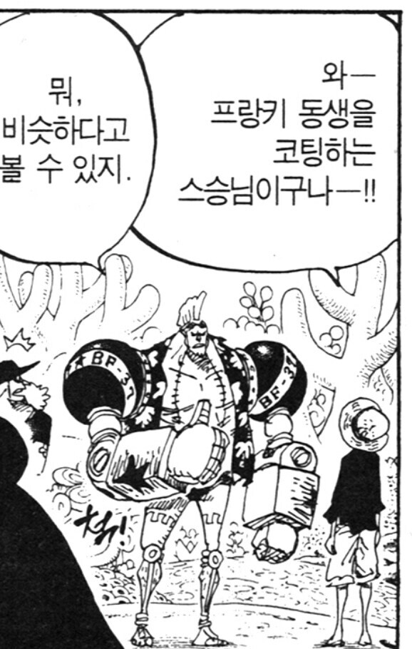 원피스) 프랑키가 정신이 번쩍 들었을때_2.jpg