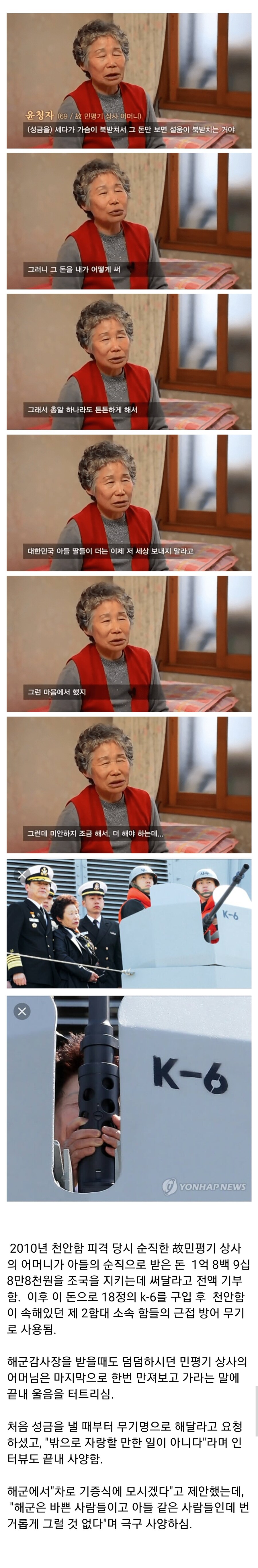 아들을 잃고 총을 18정 구매한 할머니.jpg_1.jpg