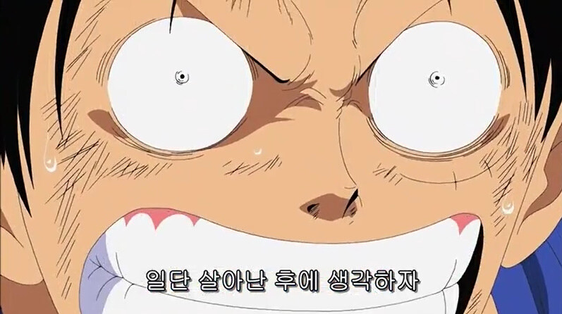 [원피스] 루피에게 최초로 공포와 두려움이라는 것을 느끼게 한 존재_7.jpg