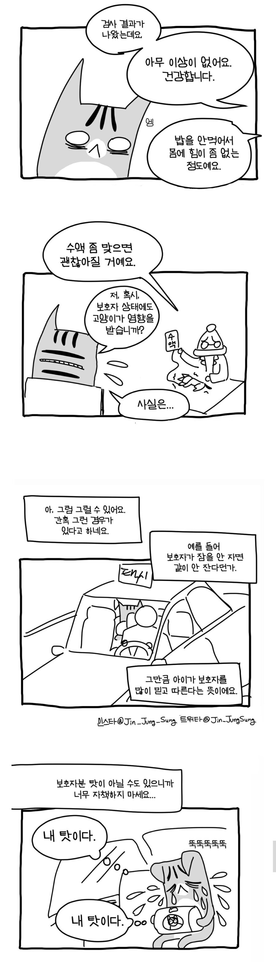 고양이가 사람 구한 이야기.manhwa_3.jpg