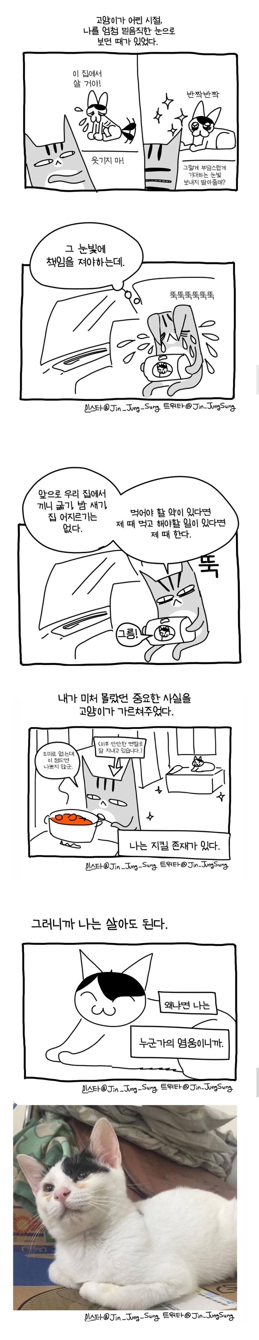 고양이가 사람 구한 이야기.manhwa_4.jpg