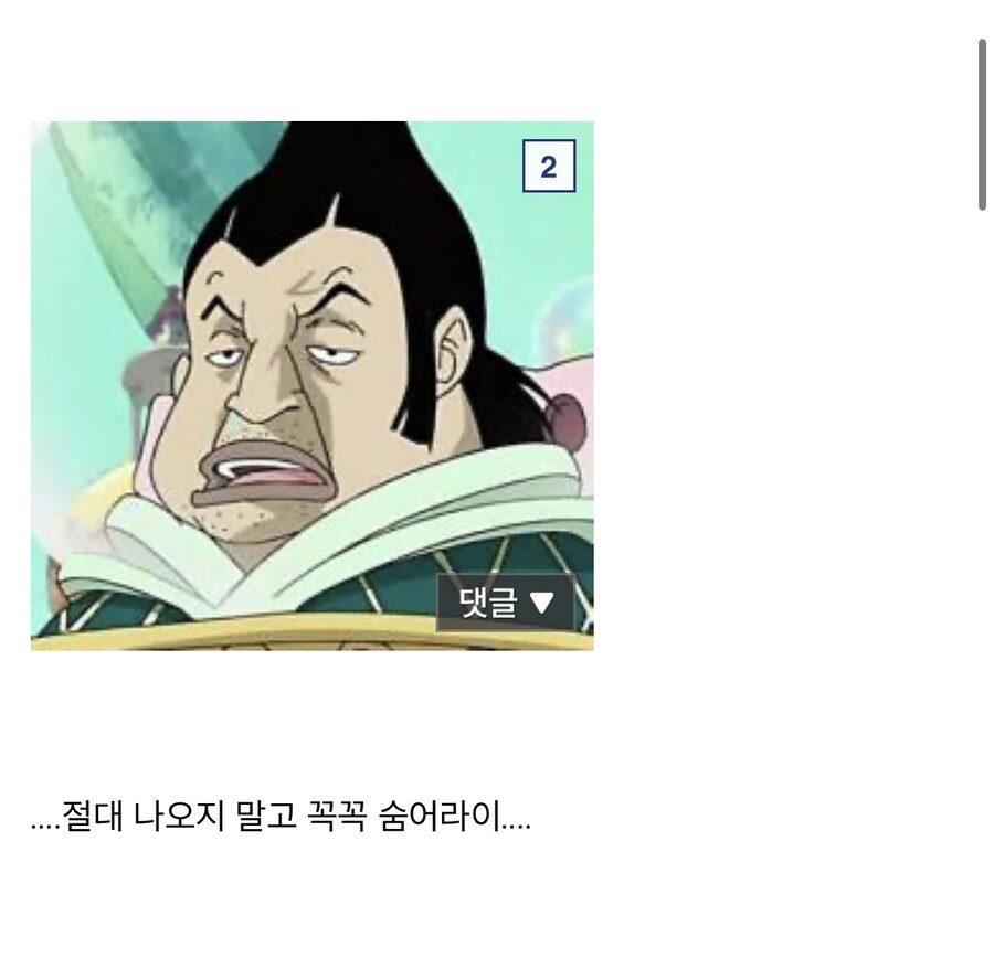 원피스) 차를로스 왜곡밈의 정수_2.png