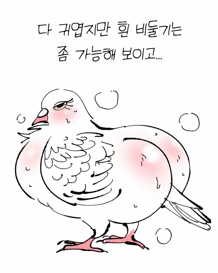 비둘기가 너무 귀여운 만화.jpg_6.jpg