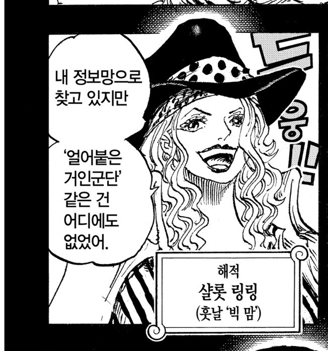원피스 오다가 빅맘관련 묘사에 신경 쓰는거 같은 이유_2.jpg