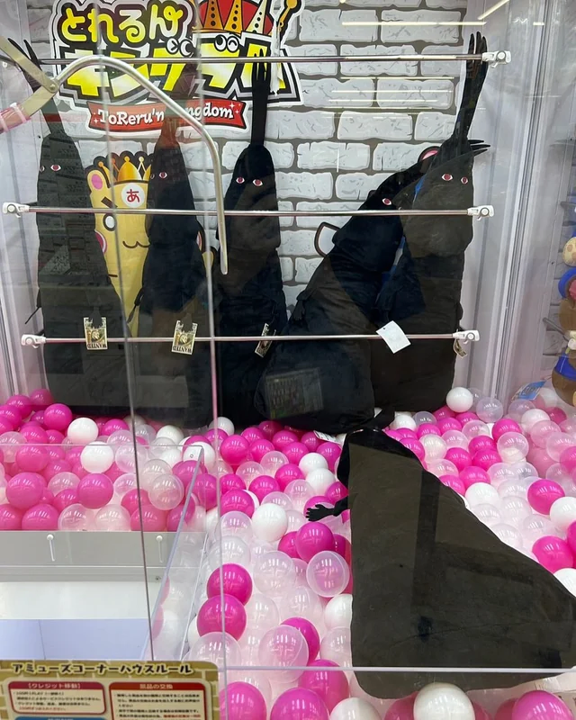 원피스) 이래 보니까 뭔가 귀엽네_6.webp