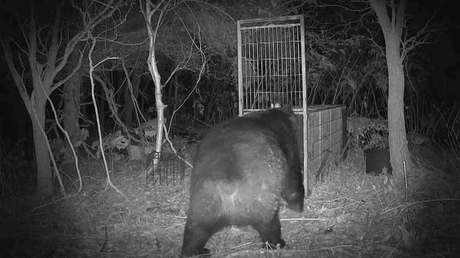 지금 와서 보니 설정이 이해되는 일본 만화.JPG_3.webp