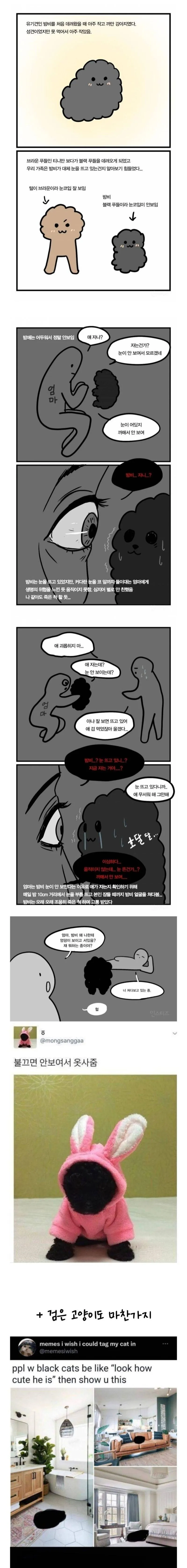 불끄면 안보이는 까만 강아지 눈 .manwha_1.webp