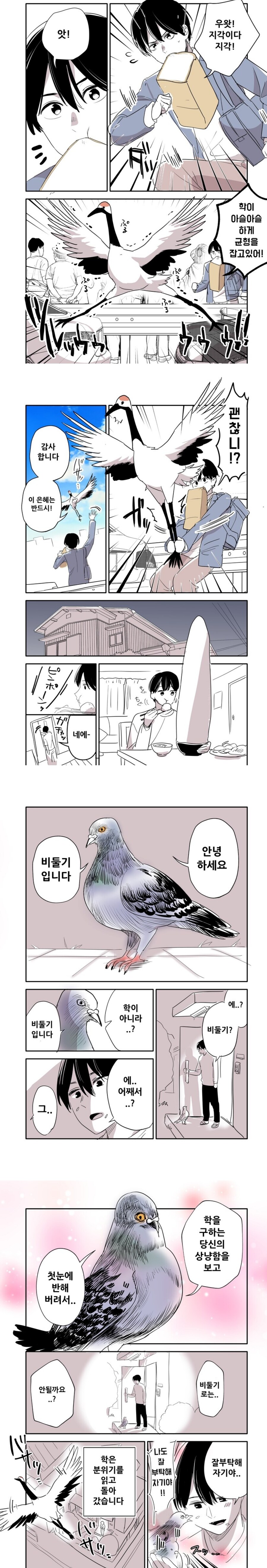 은혜 갚으려는 학의 이야기.manga_1.jpg
