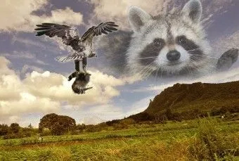 도서관의 예쁜 선생님과 사귀는.manhwa_13.webp