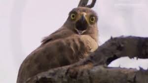 차여서 시골로 귀성하는.manhwa_26.jpg