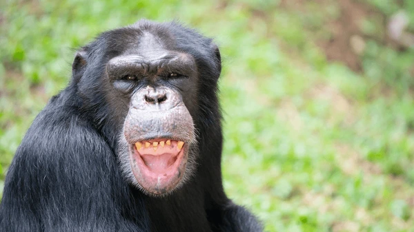 정말로 말도 안 되는 억지 처녀 설정 만화_6.webp